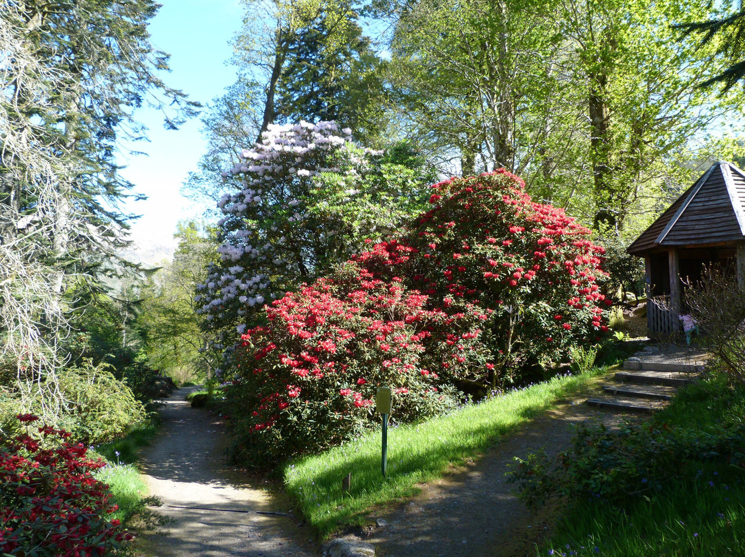 Ardkinglas Woodland Garden景点图片