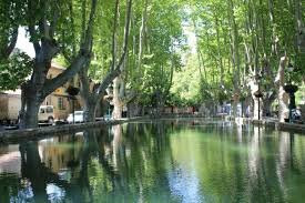 Bassin De L Étang景点图片