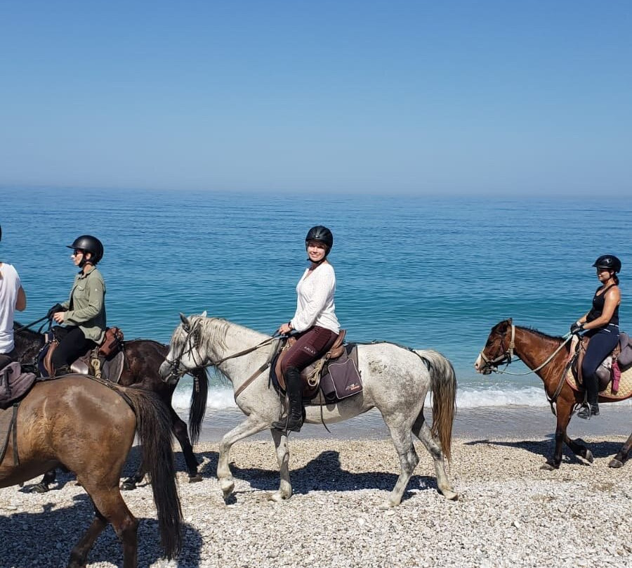 Caravan Horse Riding Albania景点图片