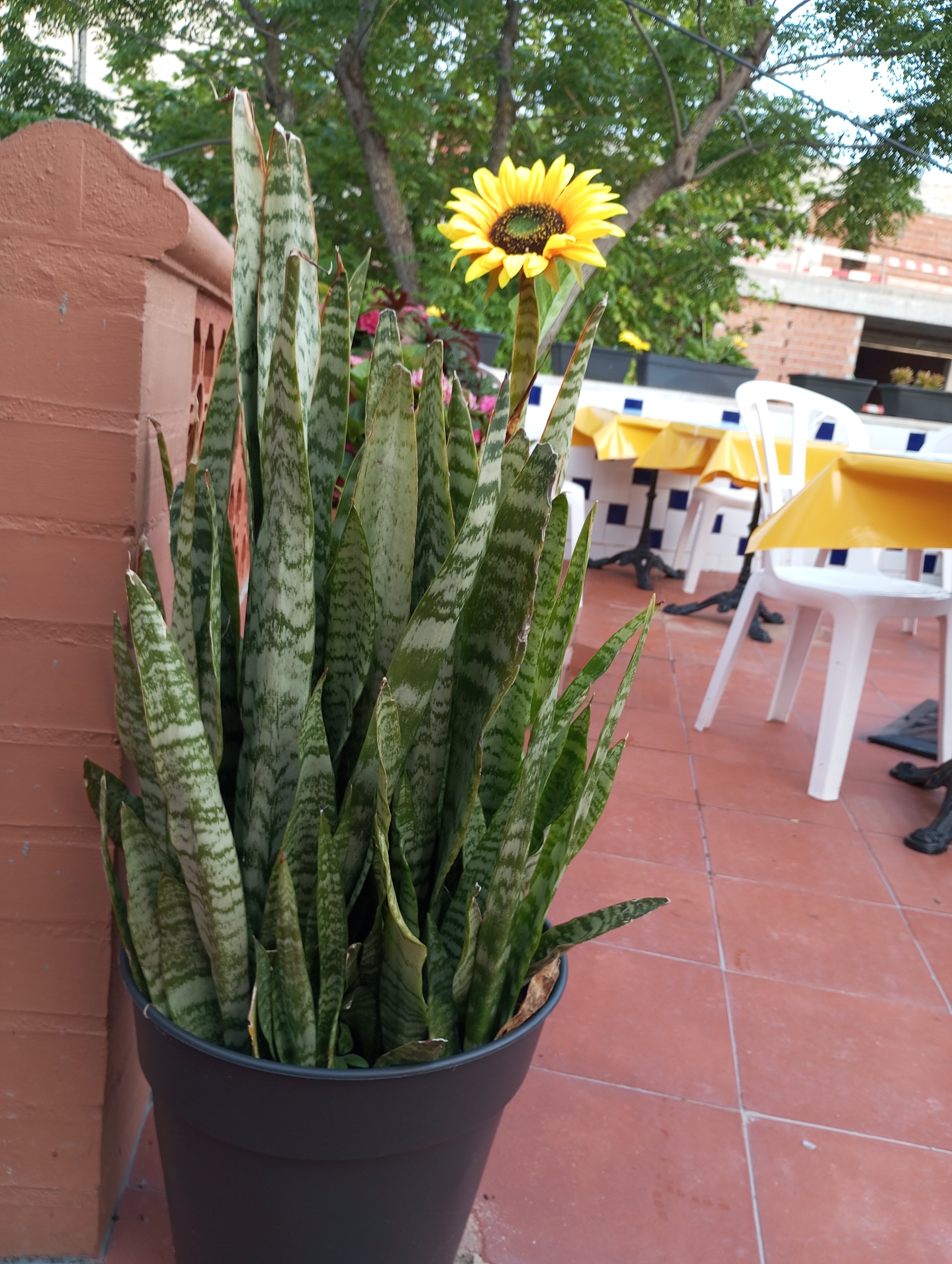Vila Turistica Conde Fidalgo-官方