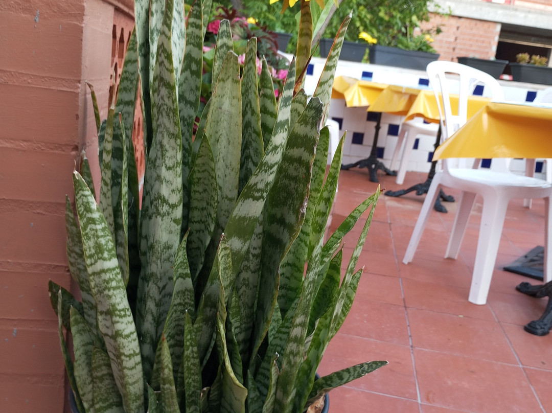 Vila Turistica Conde Fidalgo主图
