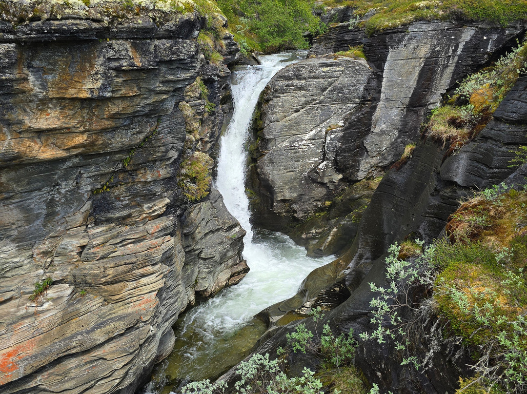 Hovringen Fjellstue主图
