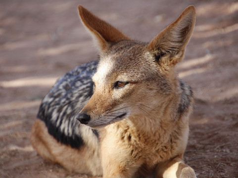 Serene African Adventures-温德和克必去景点