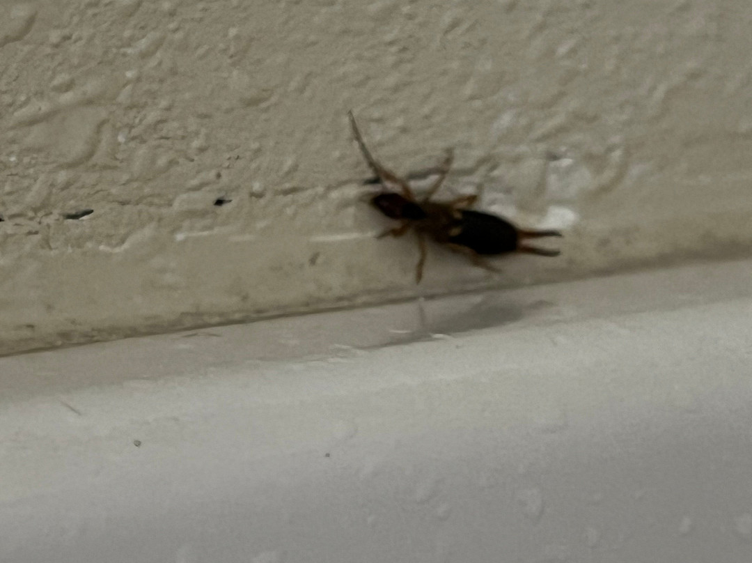 Baymont by Wyndham Waterloo主图