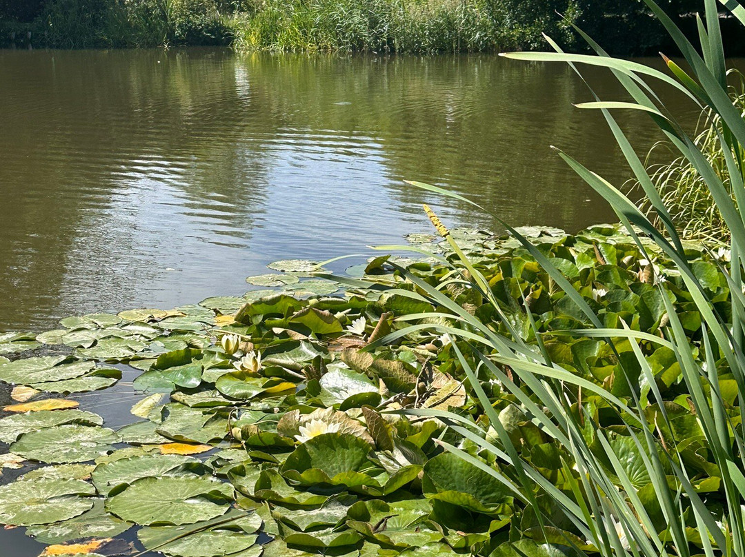 Jubilee Lake景点图片