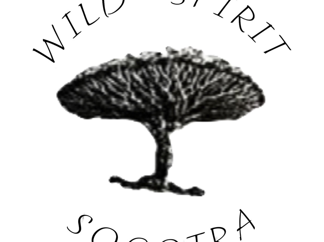 Wild Spirit Socotra景点图片