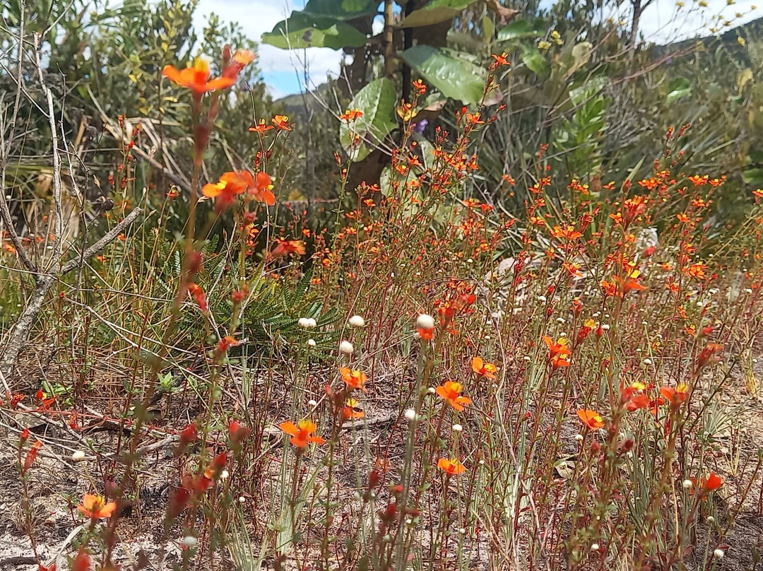 Moça Loira Falls-Mucuge必去景点