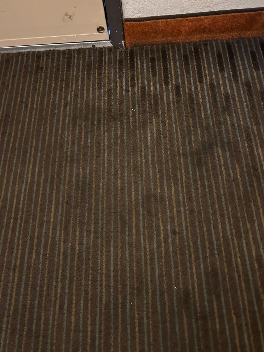 恩西尼塔斯月光海滩戴斯酒店-客卧