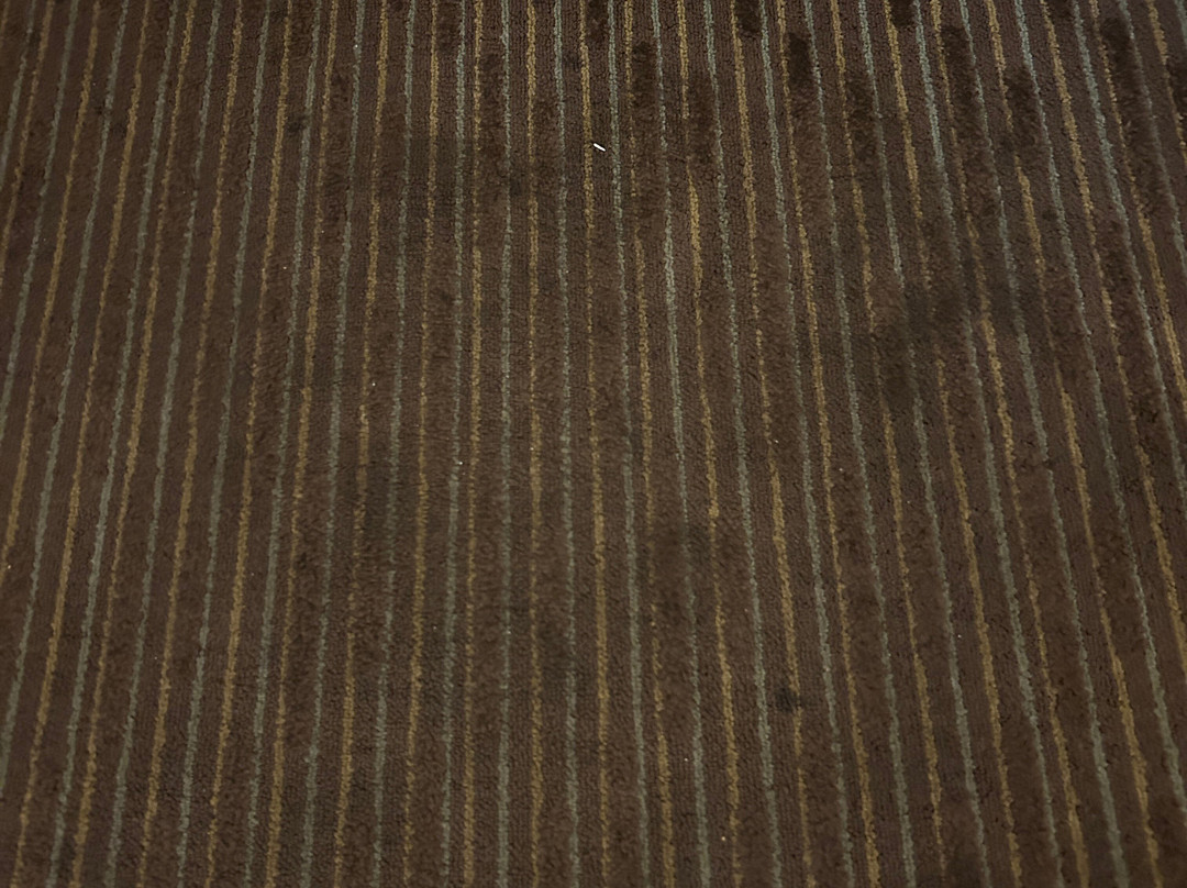 Days Inn by Wyndham Encinitas Moonlight Beach主图