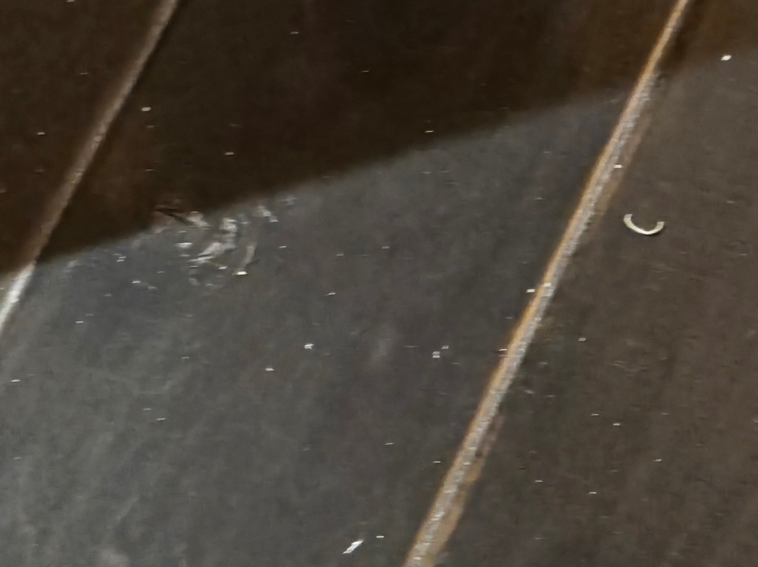 克伦威尔酒店主图