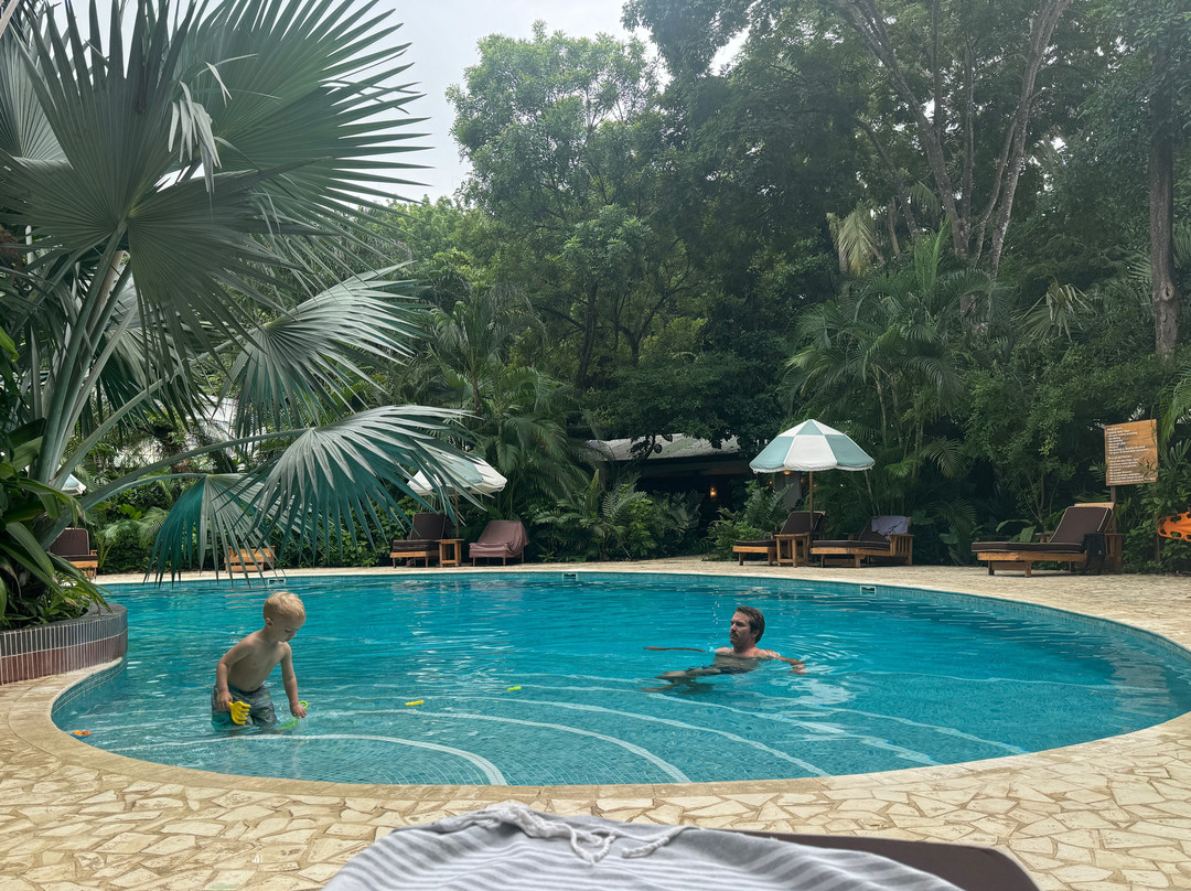 The Harmony Hotel主图