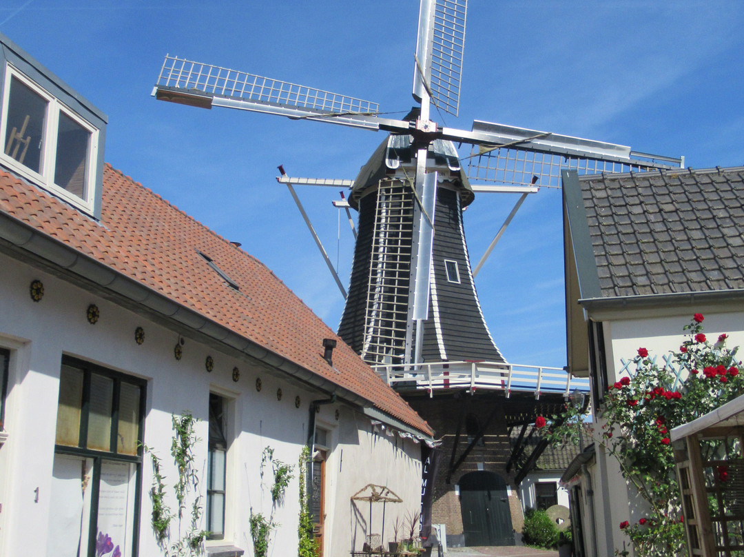 Molen De Fortuin景点图片