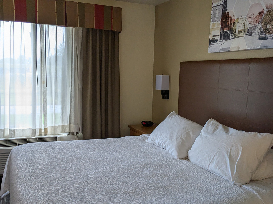 Best Western Wapakoneta Inn主图