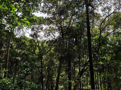 Touracle-柯钦必去景点