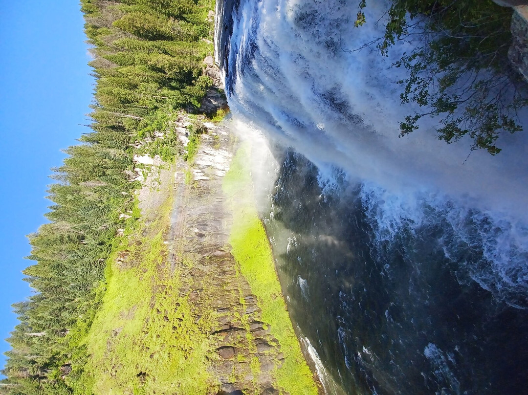 Mesa Falls景点图片