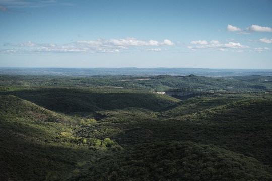Distillerie Du Petit Grain-Saint-Jean-de-Minervois必去景点
