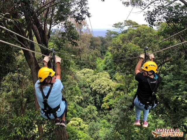 Kohala Zipline-哈威必去景点