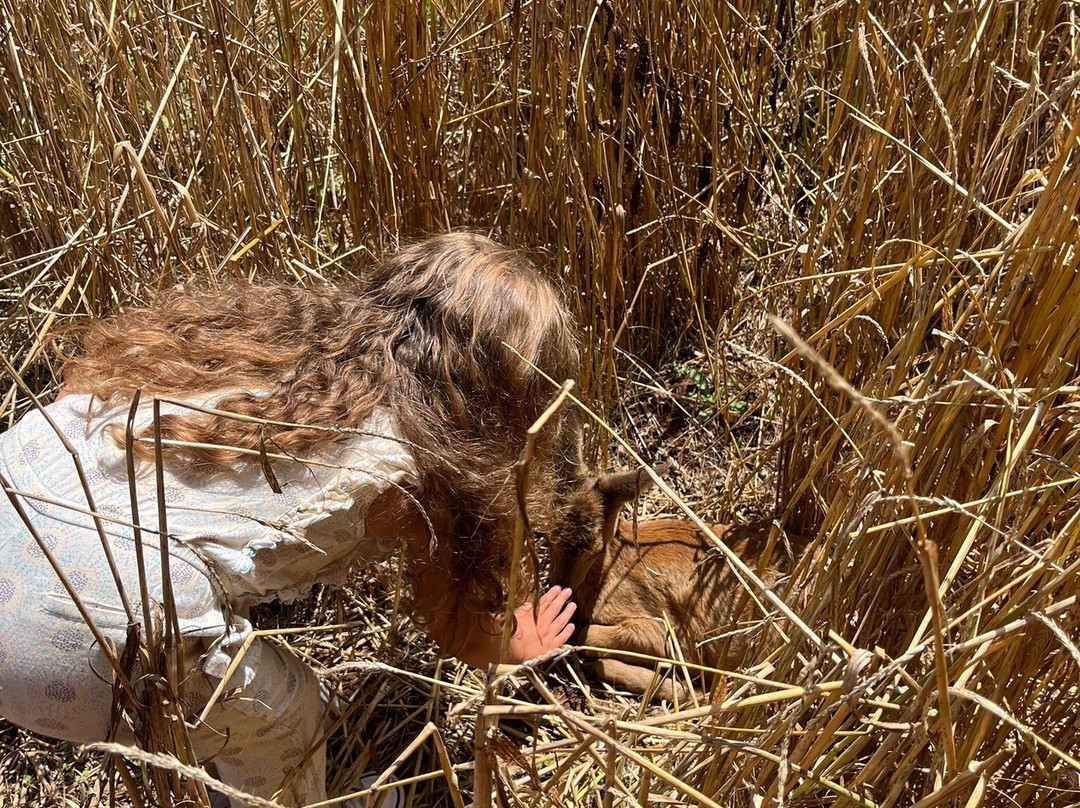 Parc le Theil-Le Caylar必去景点