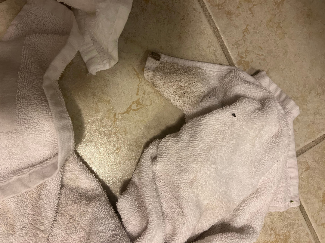 贝斯特韦斯特哈特福德酒店主图