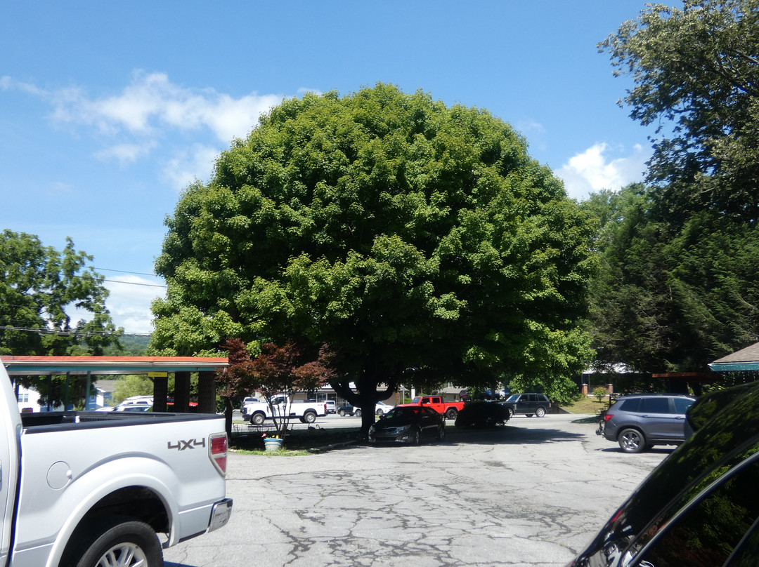 The Sunset Motel主图