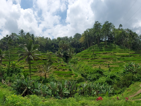 Made Suardana Bali Tours-沙努尔必去景点