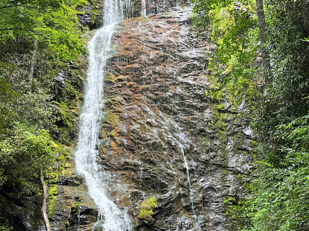 Mingo Falls景点图片
