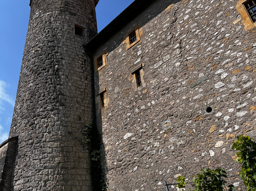 Château de Boudry-Boudry必去景点
