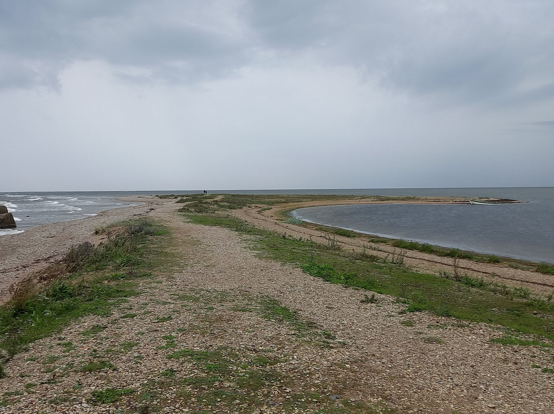 Sorve Lighthouse-Saaremaa必去景点