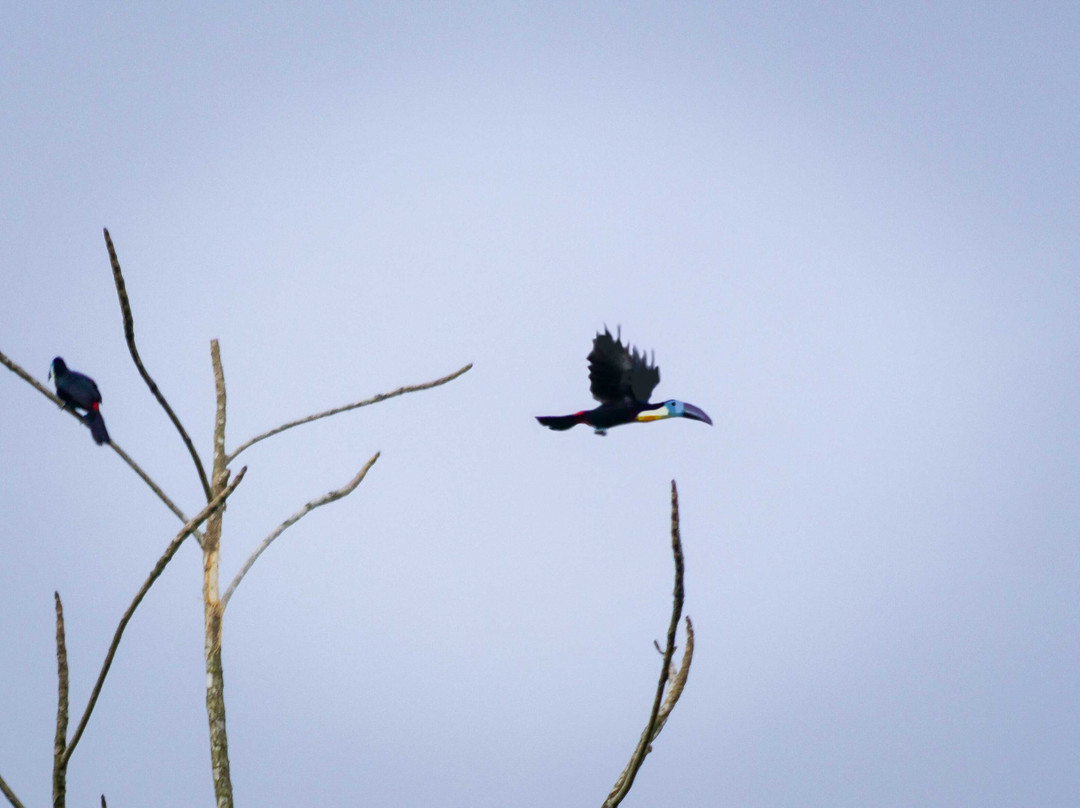 Jesse James 'Members Only' Maxi Taxi Service-特立尼达必去景点