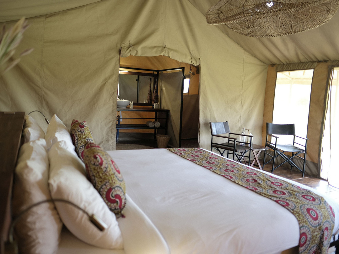 The Whisper Serengeti
