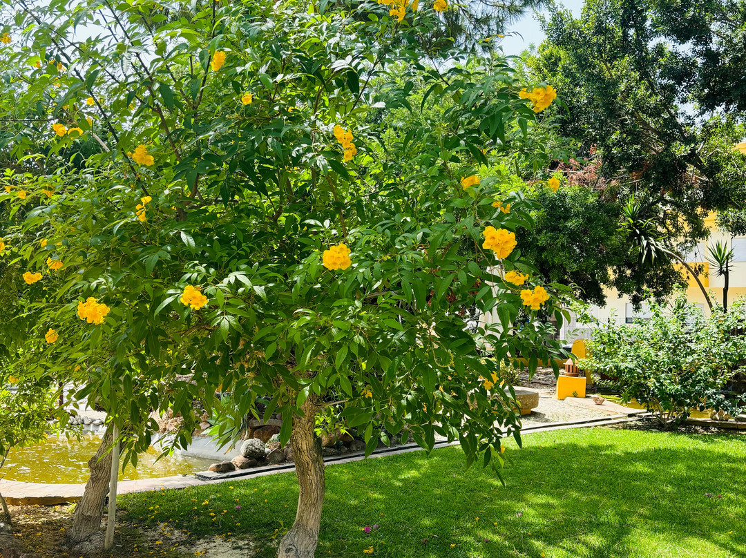 Quinta do Caracol主图