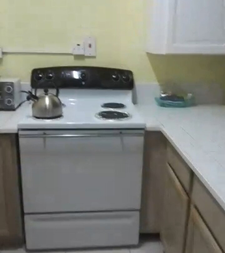 Plum Tree Club主图