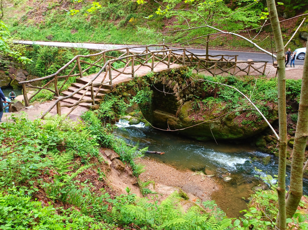 Schiessentumpel Waterfall景点图片