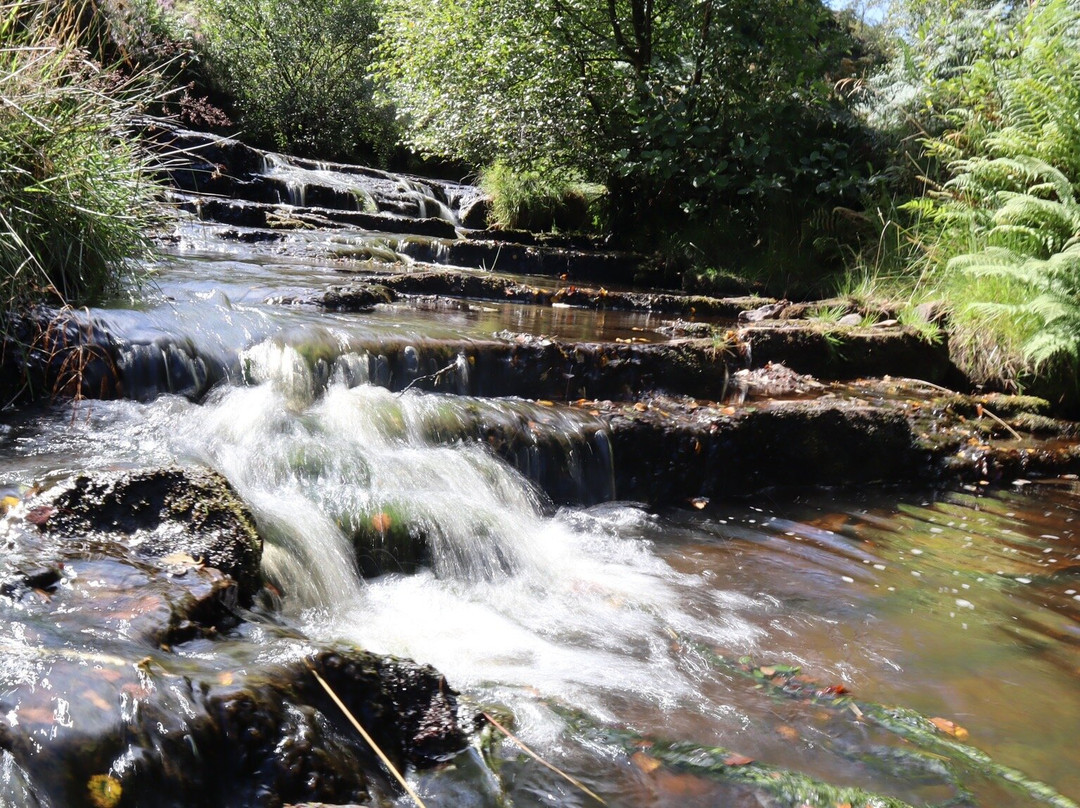 Bronte Waterfall景点图片