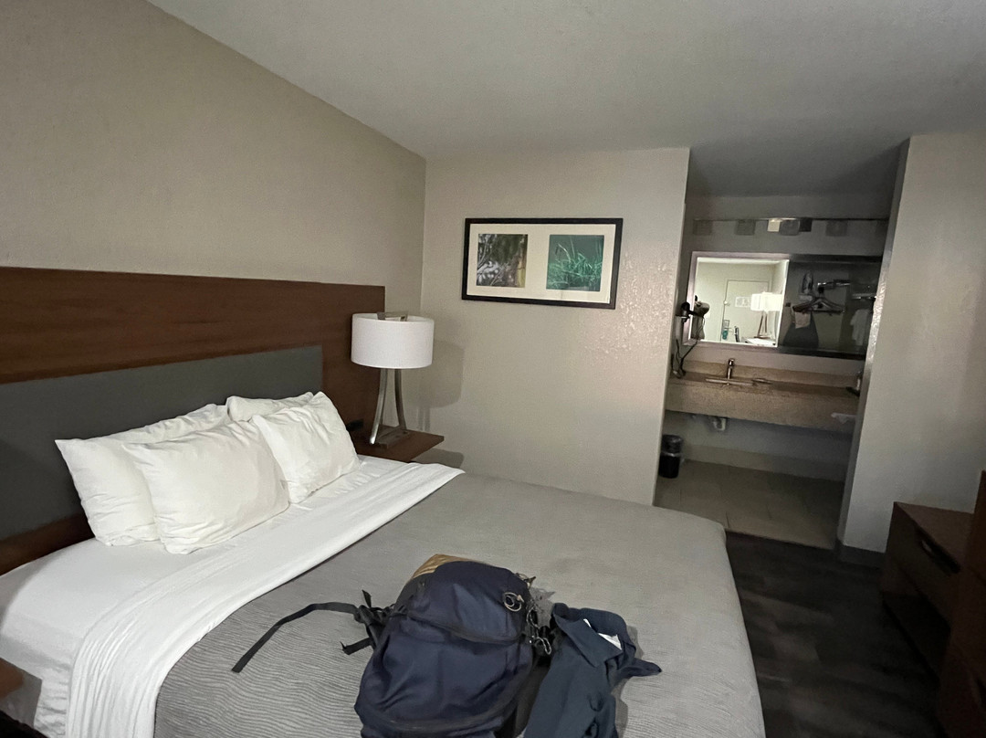 Surestay Plus By Best Western Alamogordo White Sands主图