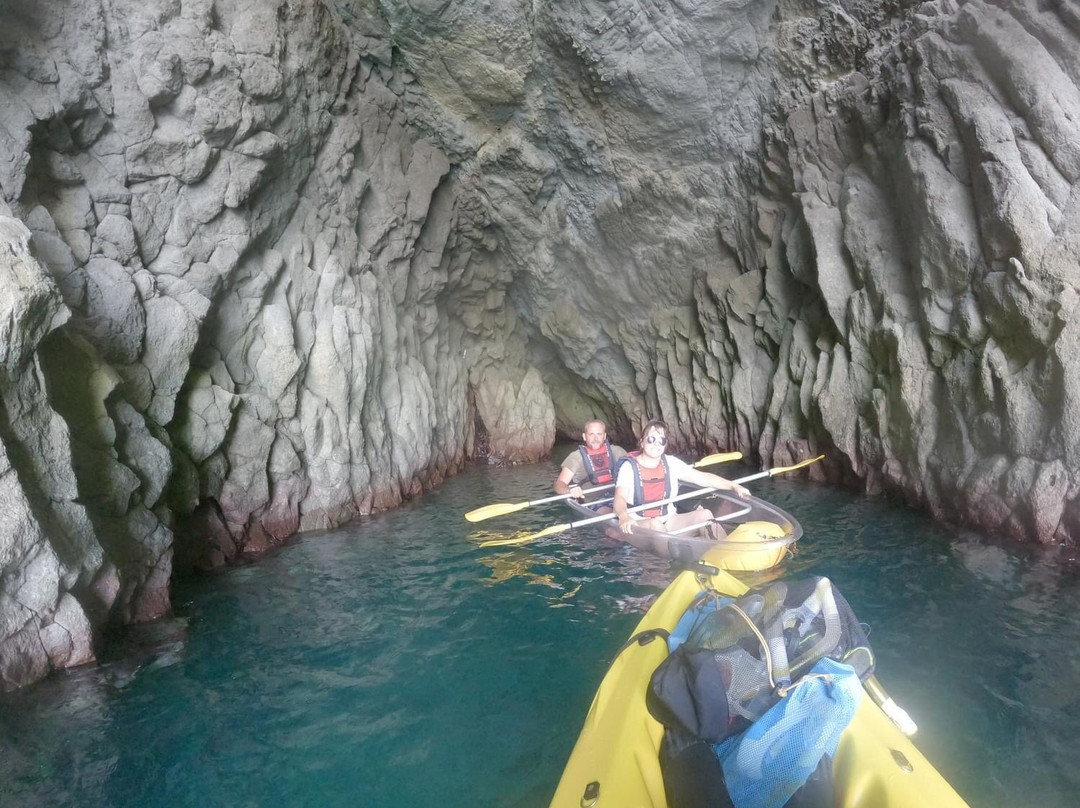 Clear Kayak景点图片