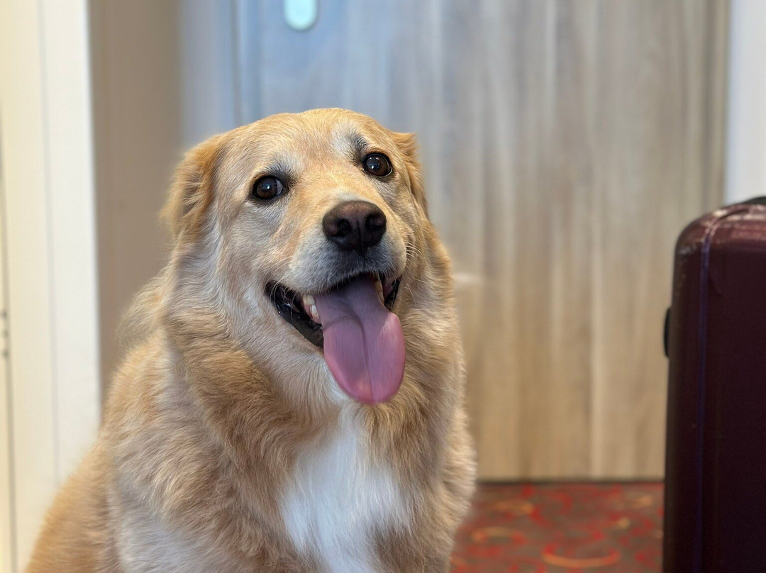 埃伦城市伙伴酒店主图