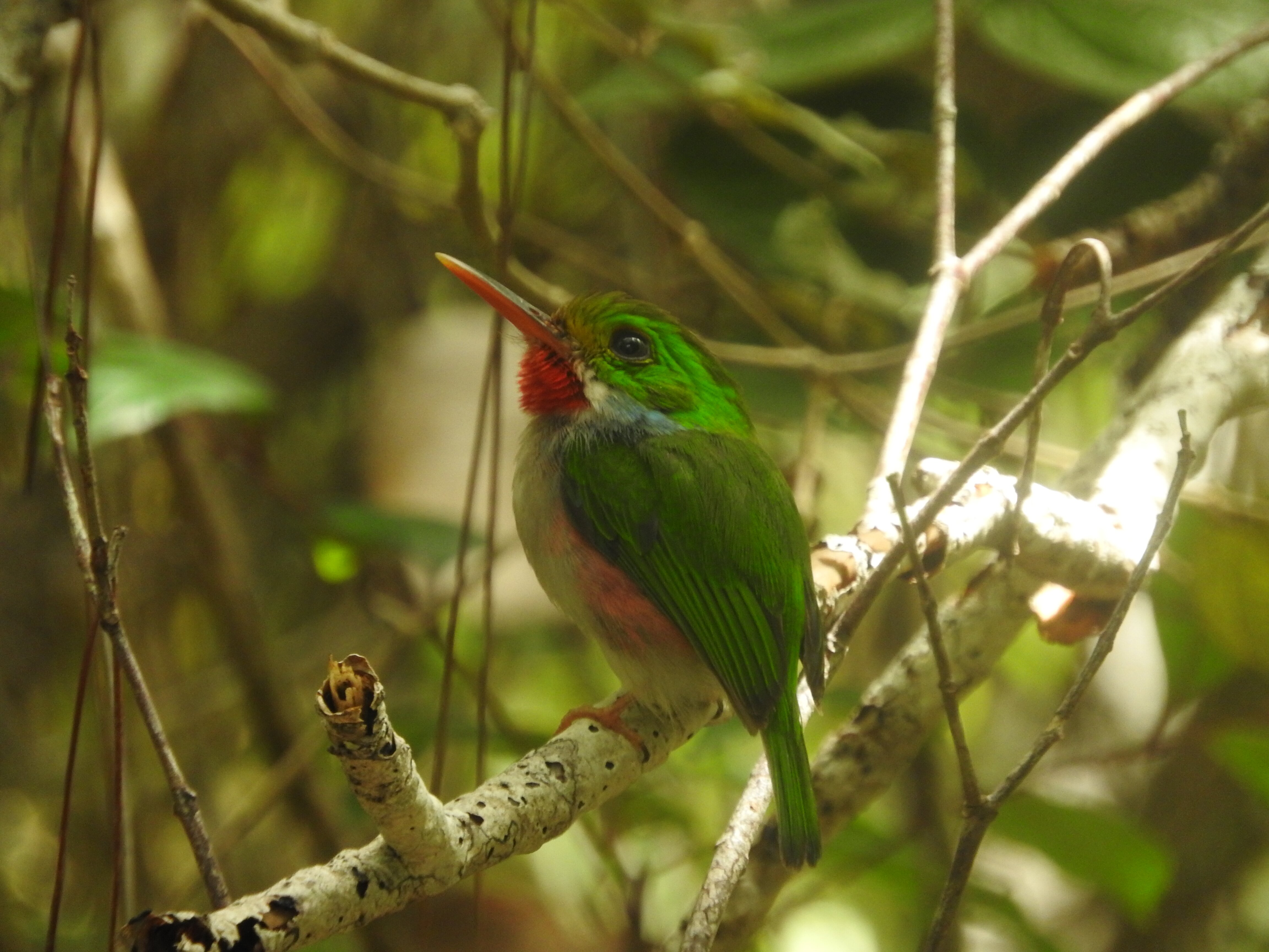 Villa Paradiso-浴室