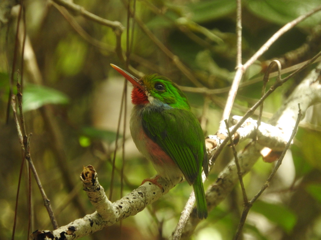 Villa Paradiso主图