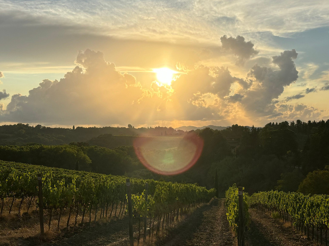Tenuta delle Rose主图