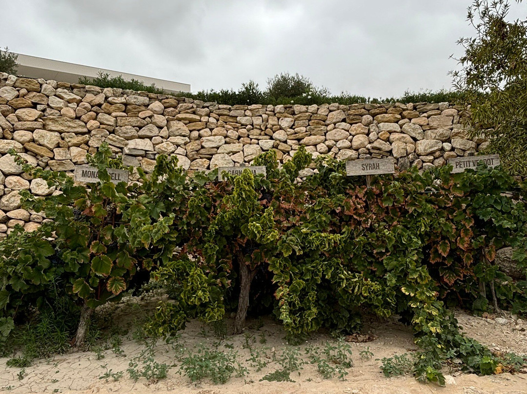 Casa Rojo-Jumilla必去景点