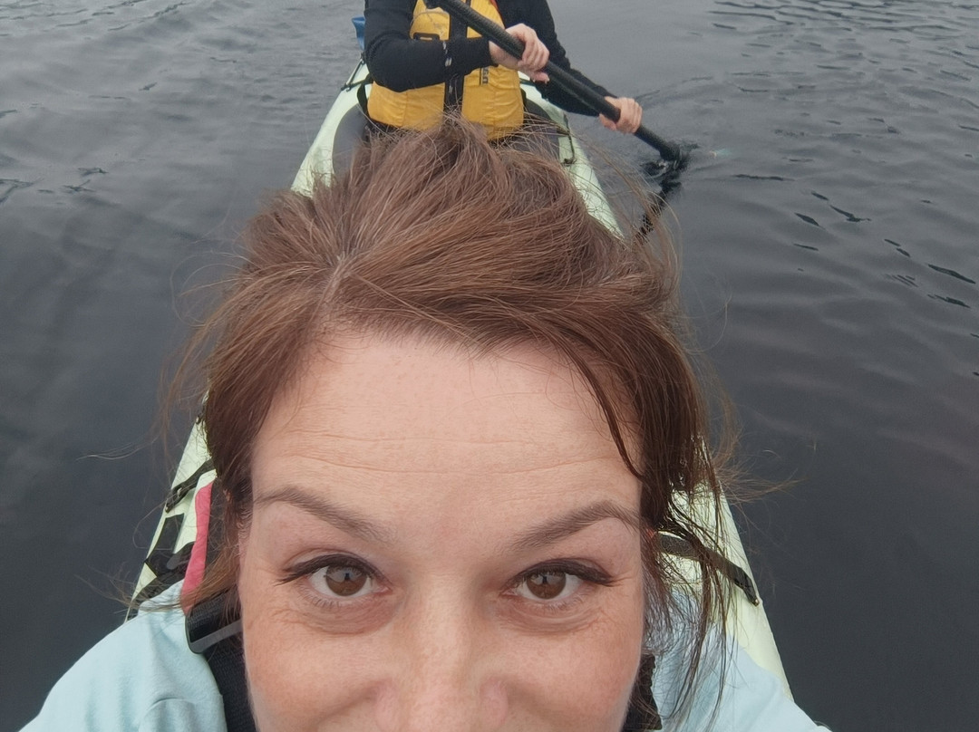Fjord en kayak景点图片