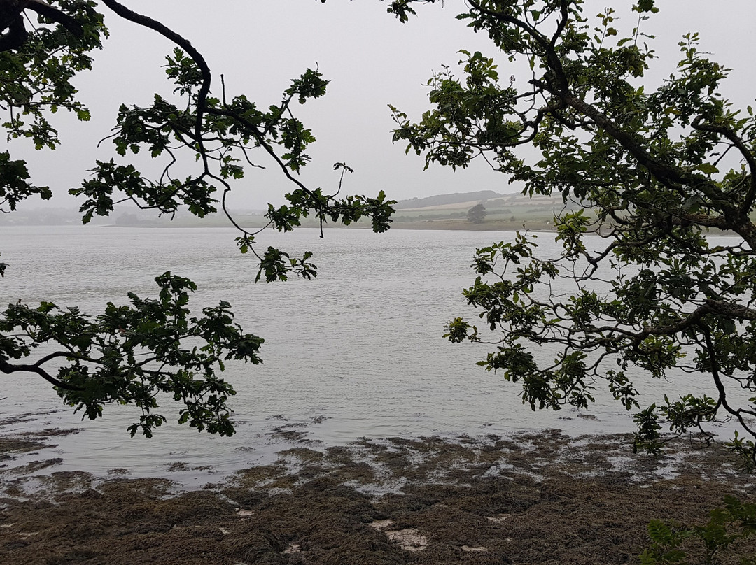 Lawrenny Wood景点图片