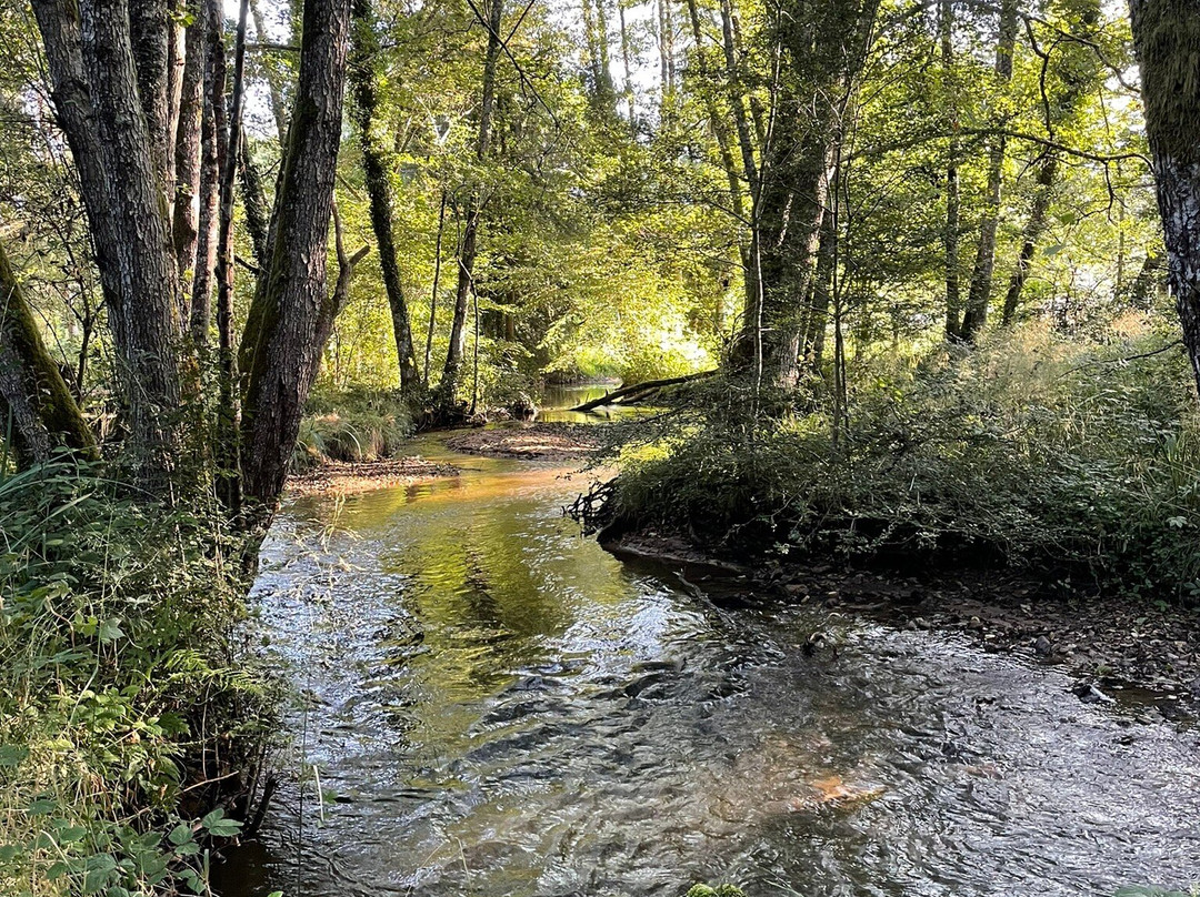 Camping Moulin De La Geneste主图