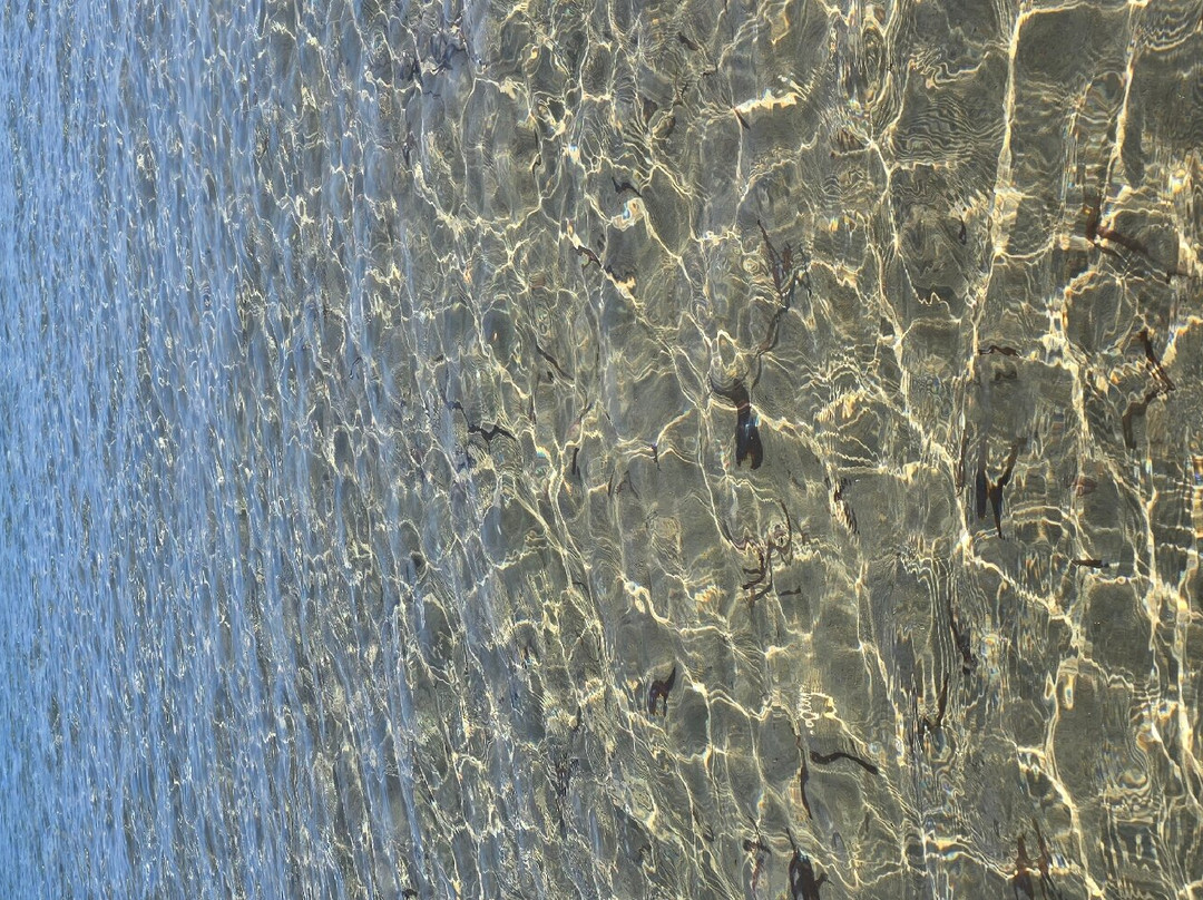 Spiaggia Foxi Manna景点图片