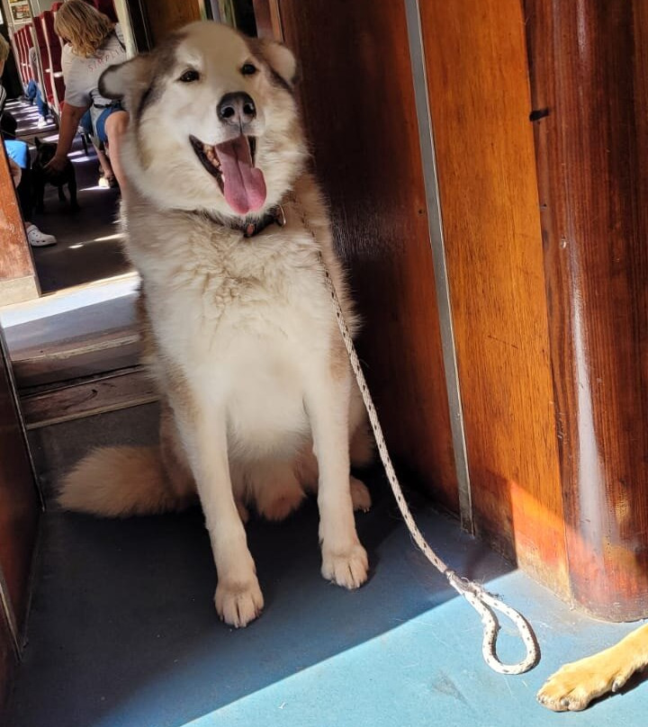 The Wensleydale Spirit Company-莱伯恩必去景点