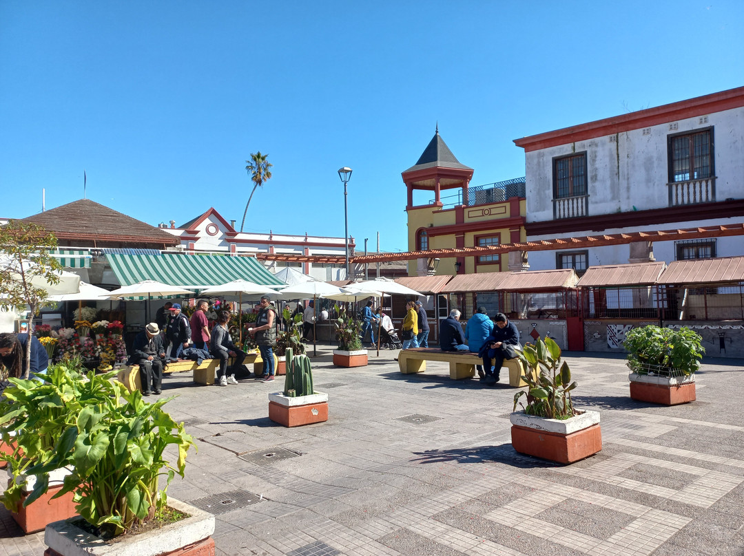 La Recova Municipal Market景点图片