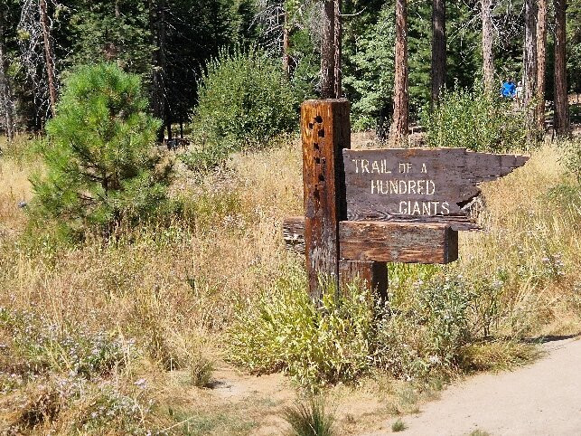 Trail of 100 Giants-波特维尔必去景点