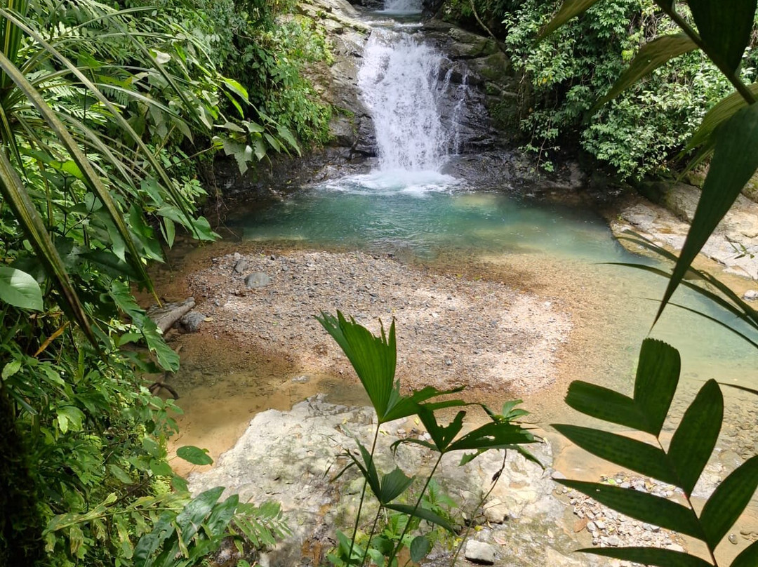 Manuel Antonio Trekking and Waterfalls Tours景点图片