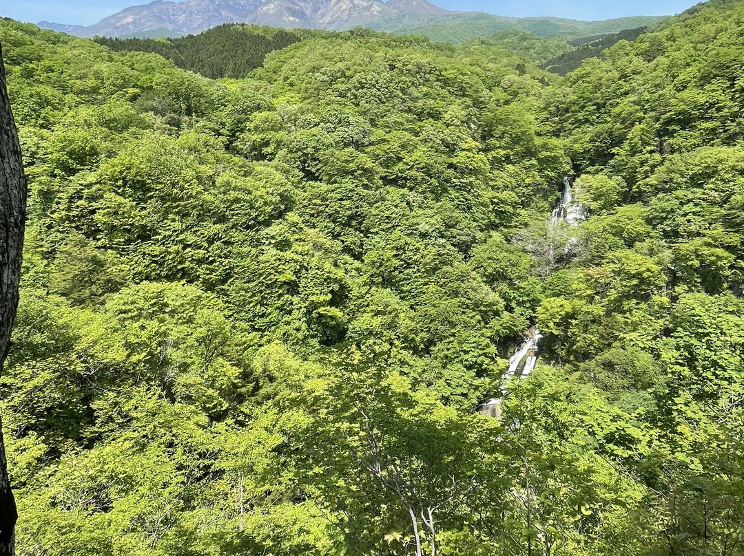 Kirifuri Waterfall-日光市必去景点